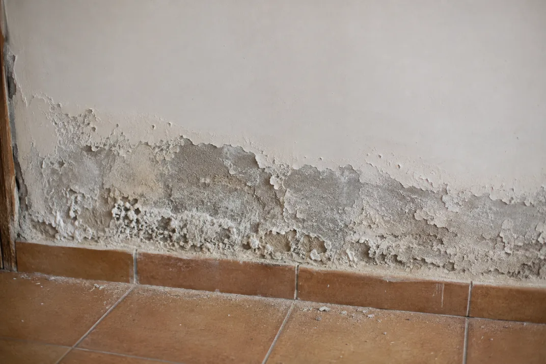 Franja de humedad por capilaridad con sales blancas junto al rodapié