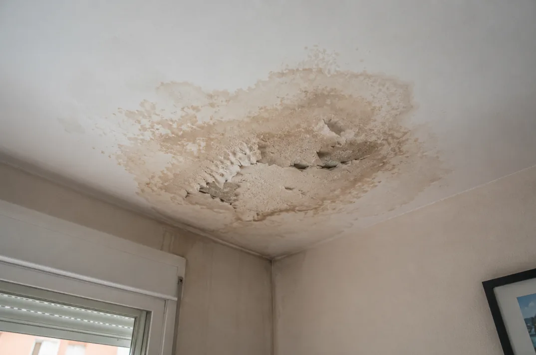 Mancha de agua con la pintura levantada en el techo de una vivienda